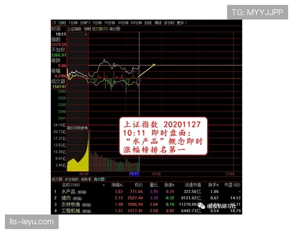 深度：数据透视德甲“后腰后卫化”趋势，对低位防守体系构建的影响